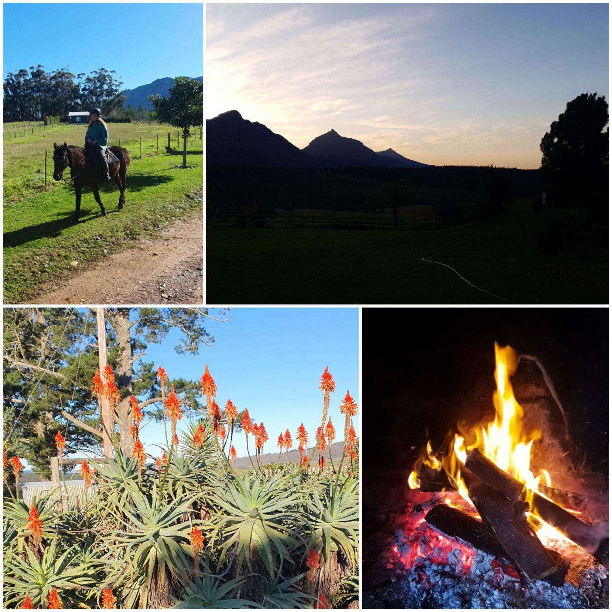 Oudebosch Guest Farm Villa Riversdale Kültér fotó